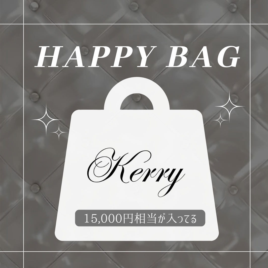 超数量限定!2026年 HAPPY BAG
