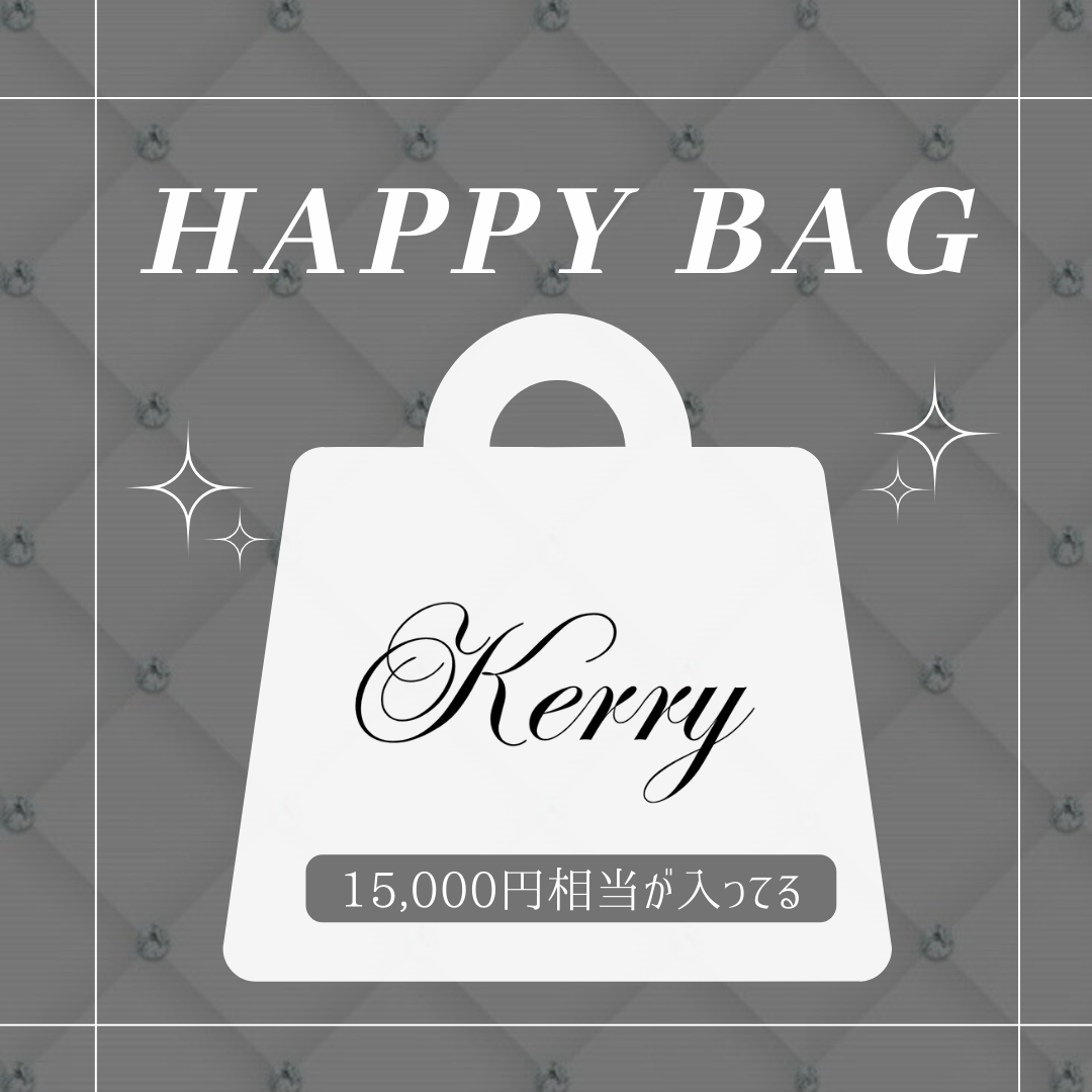 超数量限定!2026年 HAPPY BAG