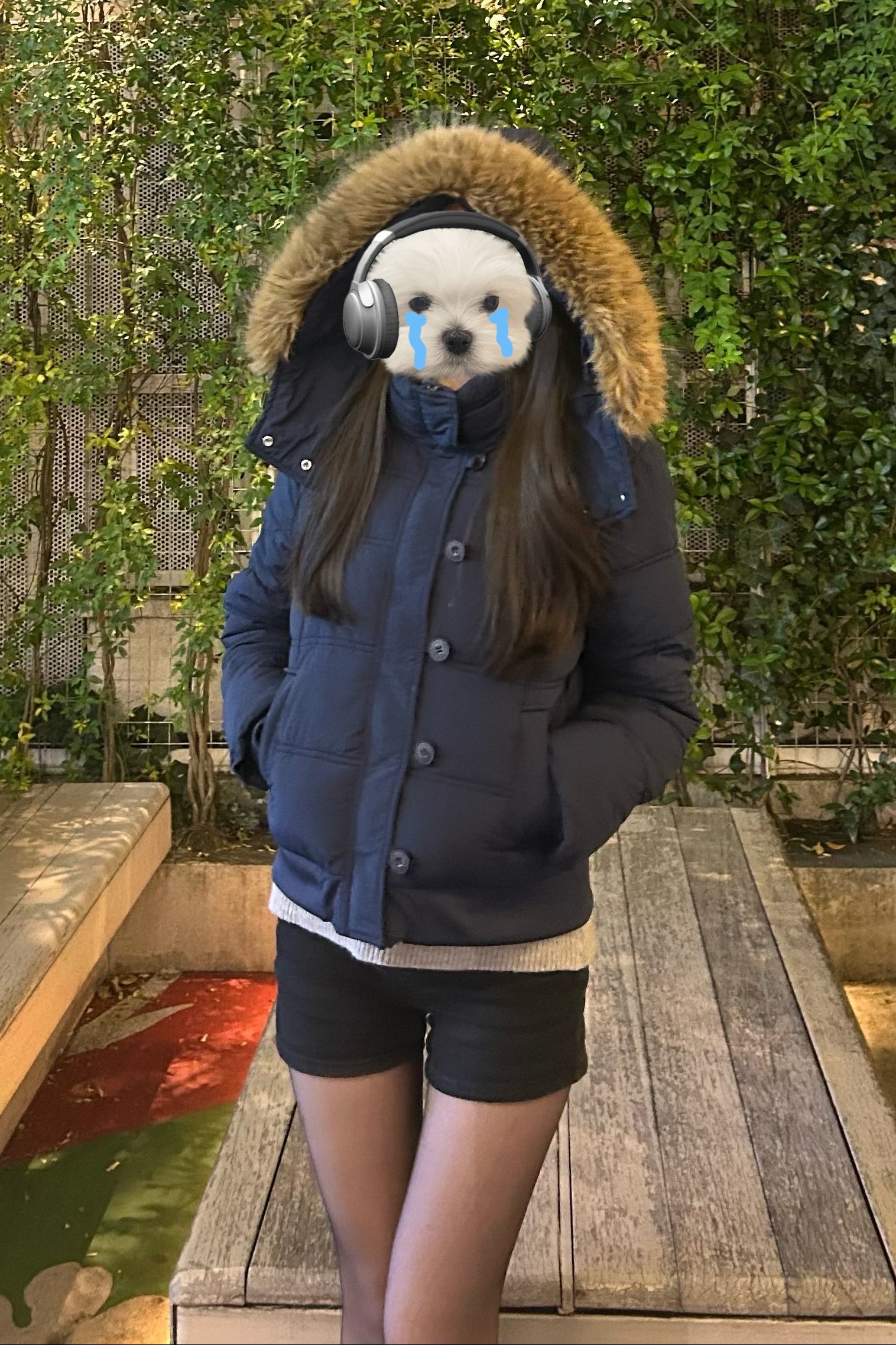 ファーフードハイネックミドルダウンジャケット KR30299