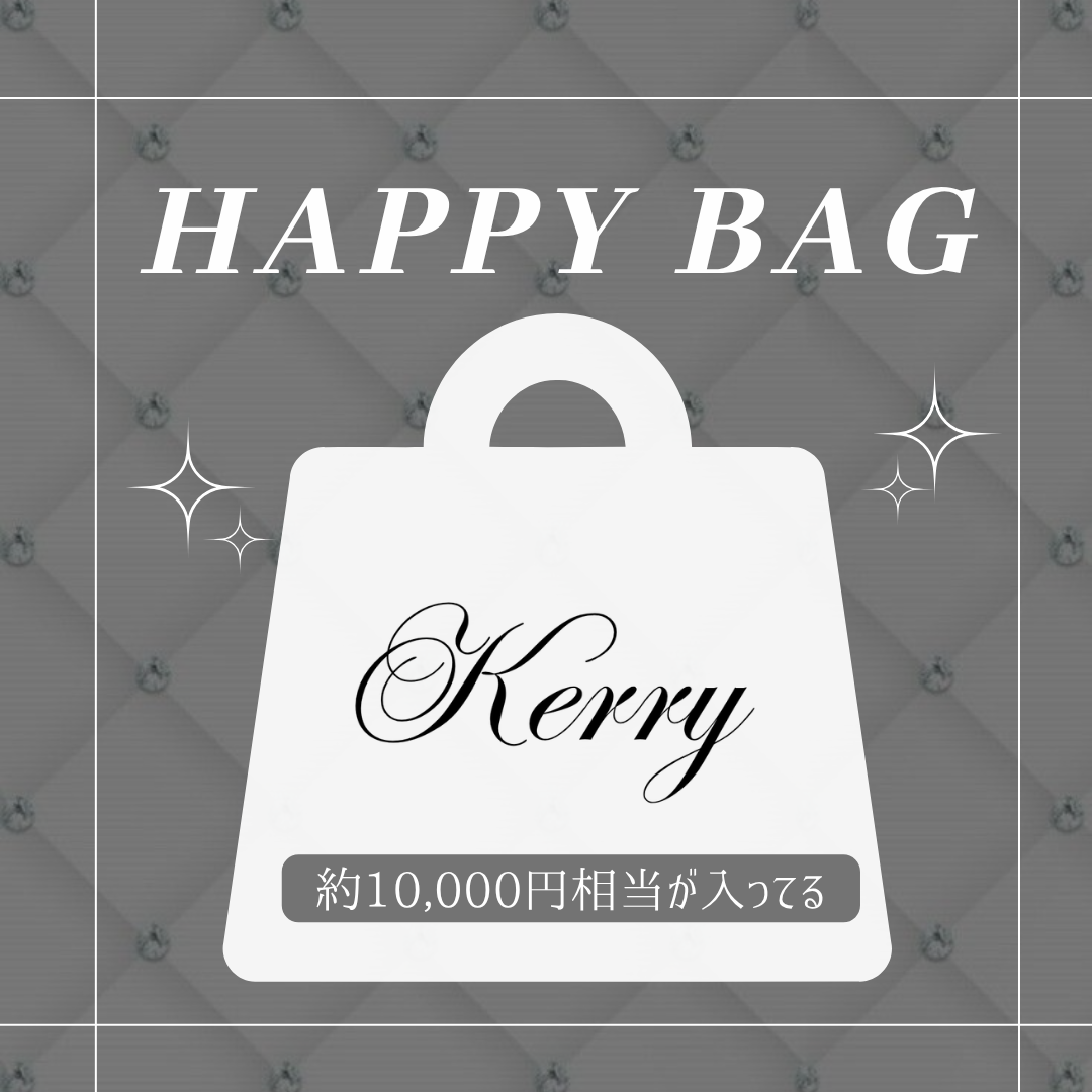 超数量限定！SPRING HAPPY BAG