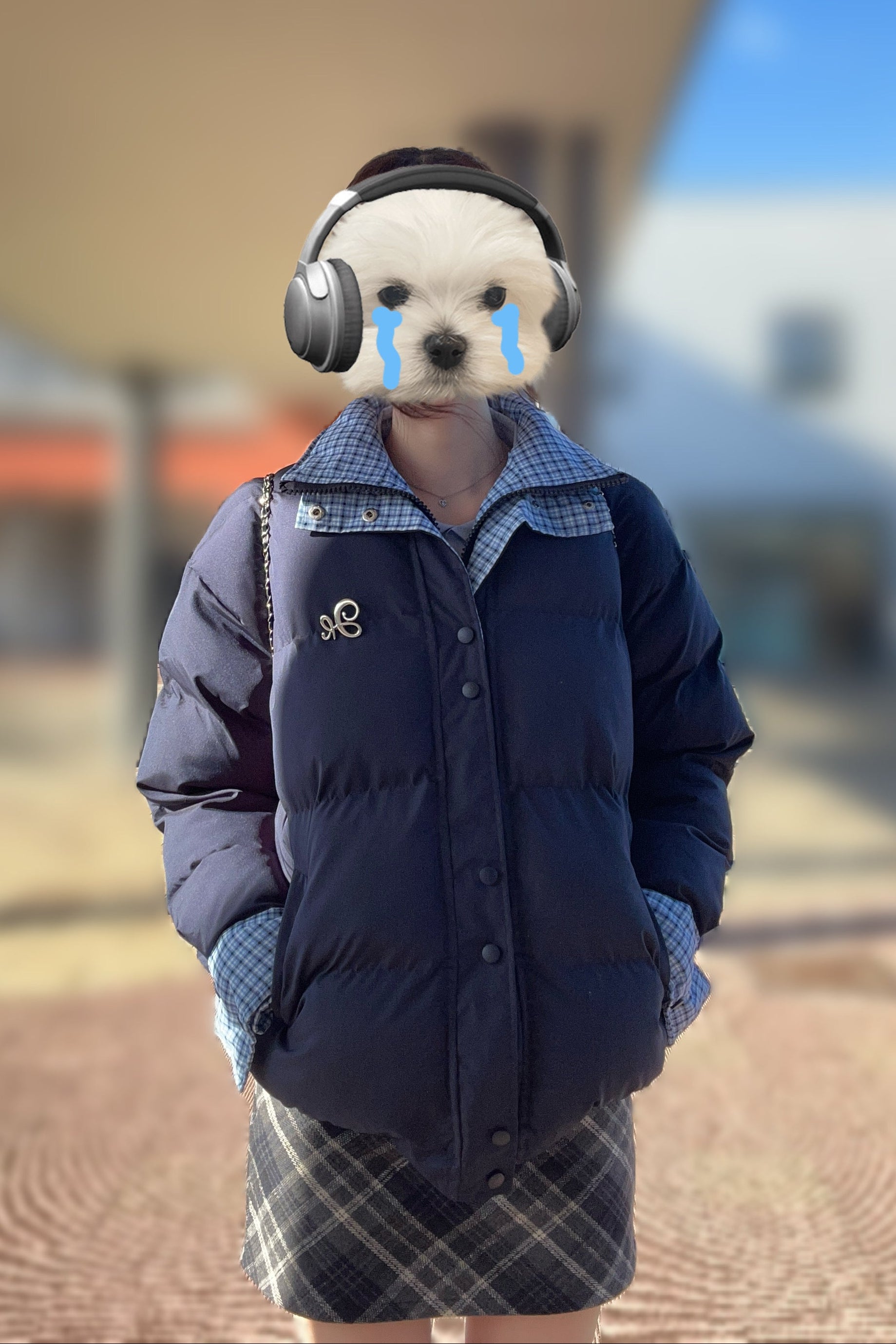 レイヤードデザインダウンジャケット KR30302