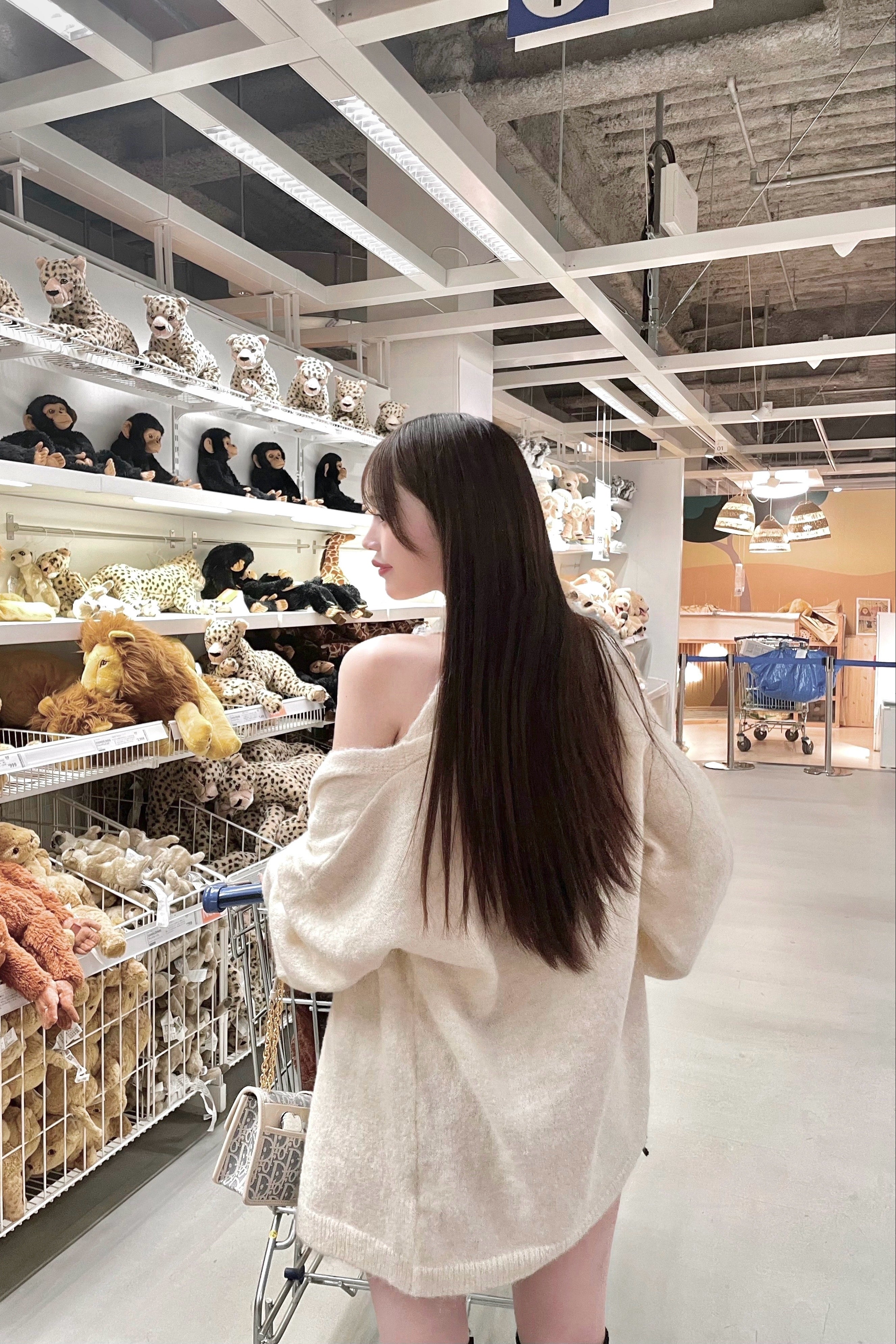 キャミセットカーディガン KR13491