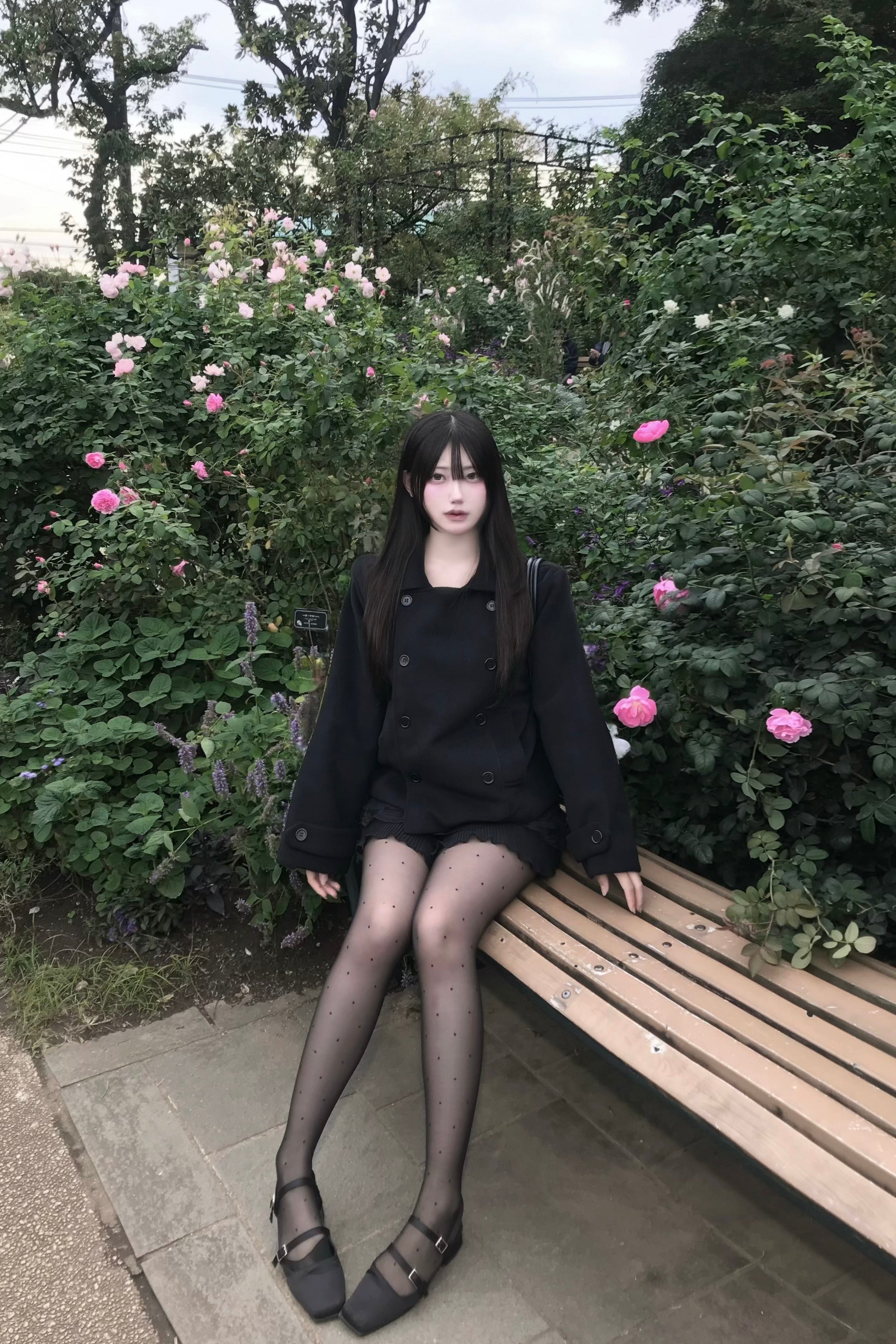 ドットシアーストッキング KR13504