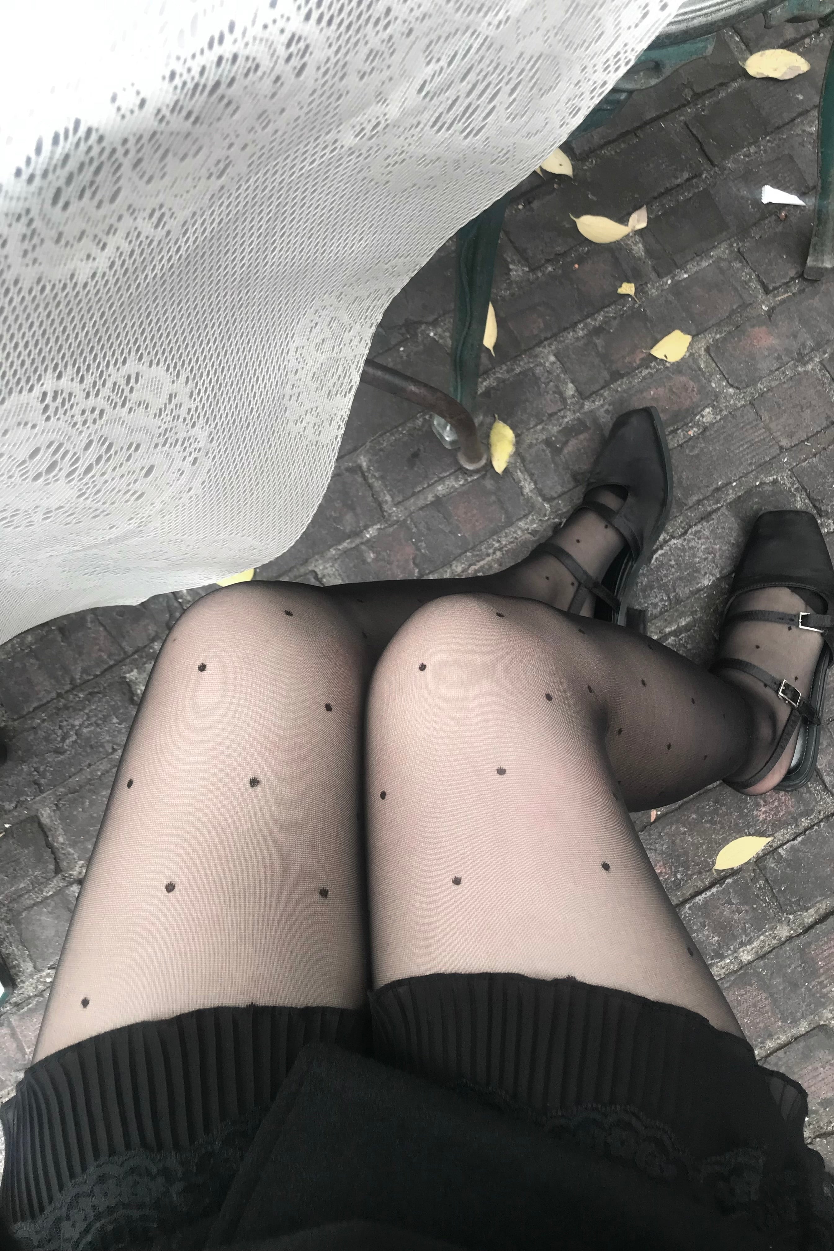 ドットシアーストッキング KR13504