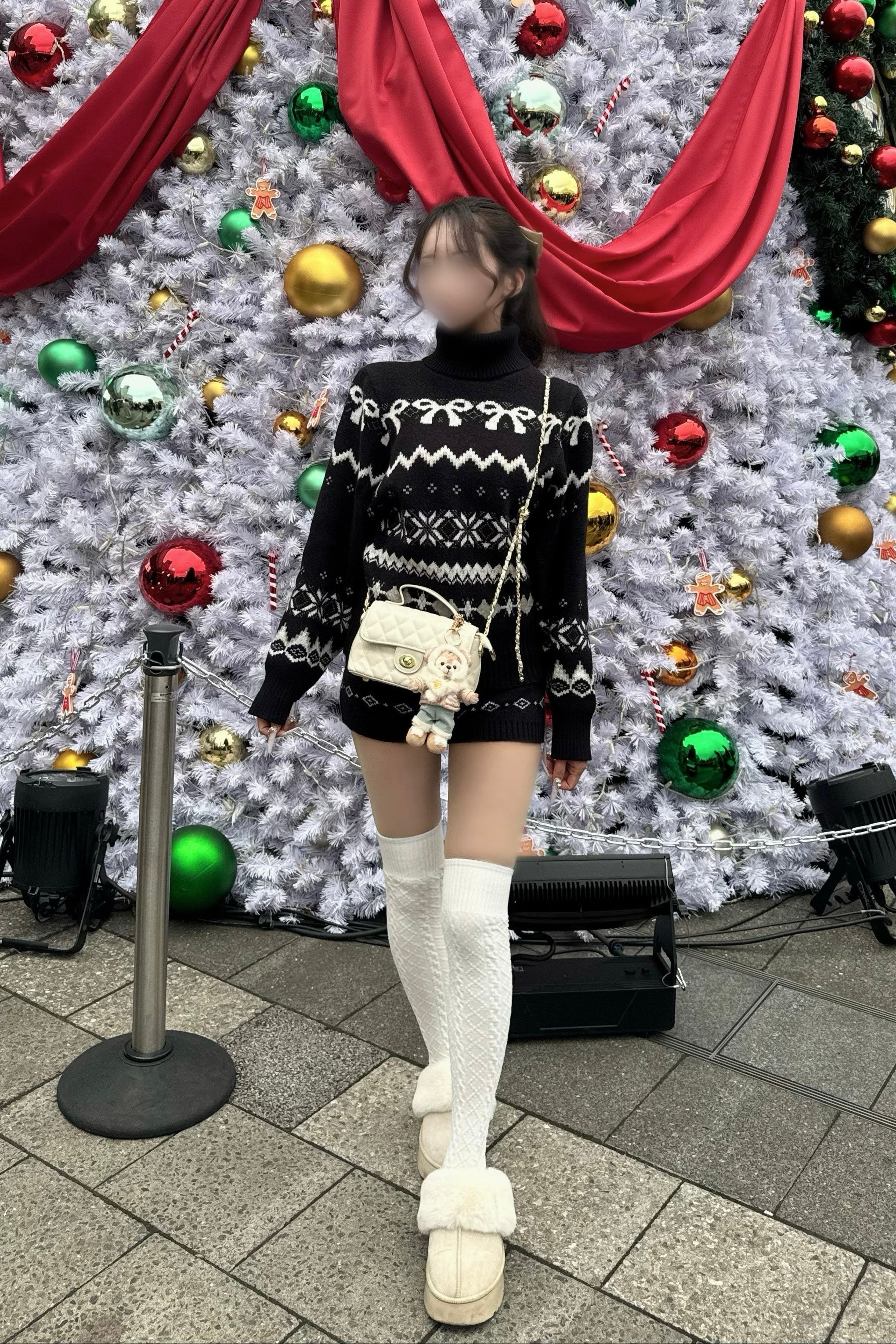 ノルディックセットアップ KR30319